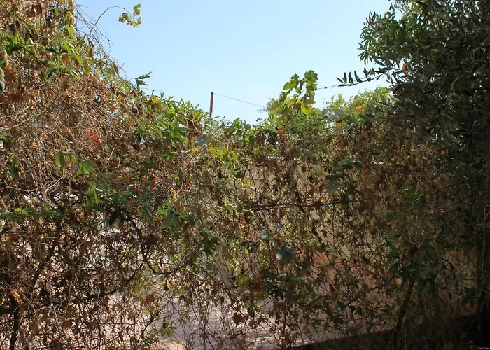 With A Parking Space Liznjan, Medulin - 7240